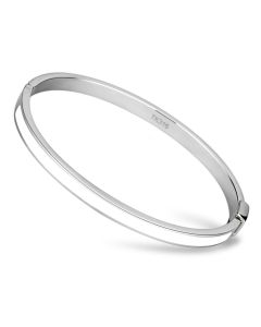 JCE740 High polished (no plating) Stainless Steel Bangle with Epoxy  in White